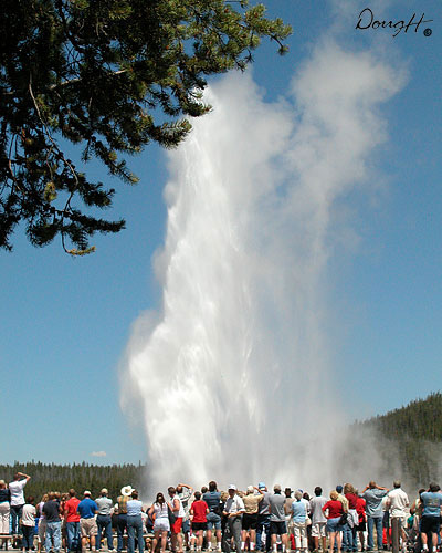 Old Faithful Crowd