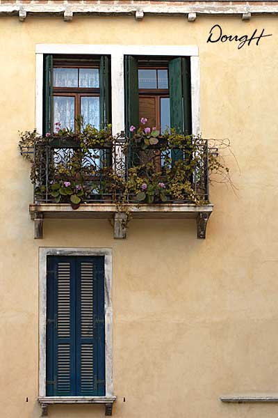 Yellow House and Shutters